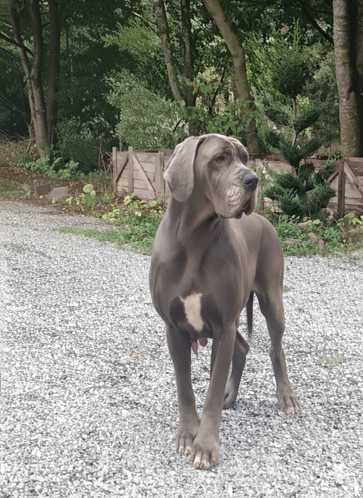 Tsarine Des Géants Du Paradis D'hava