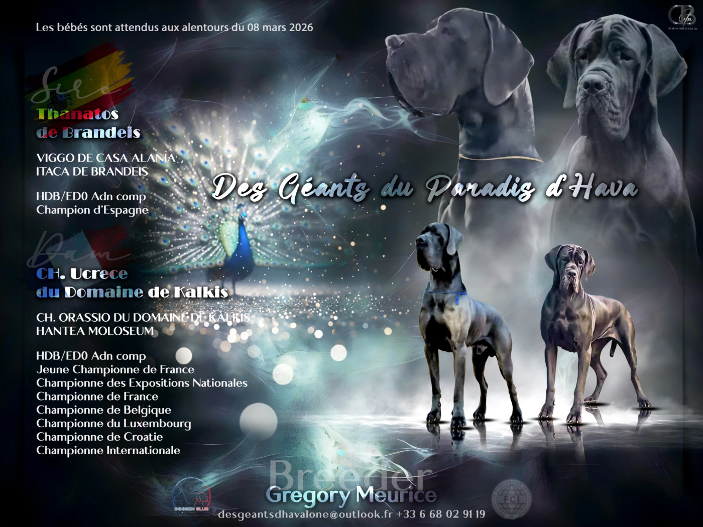 Bientôt les bébés ??